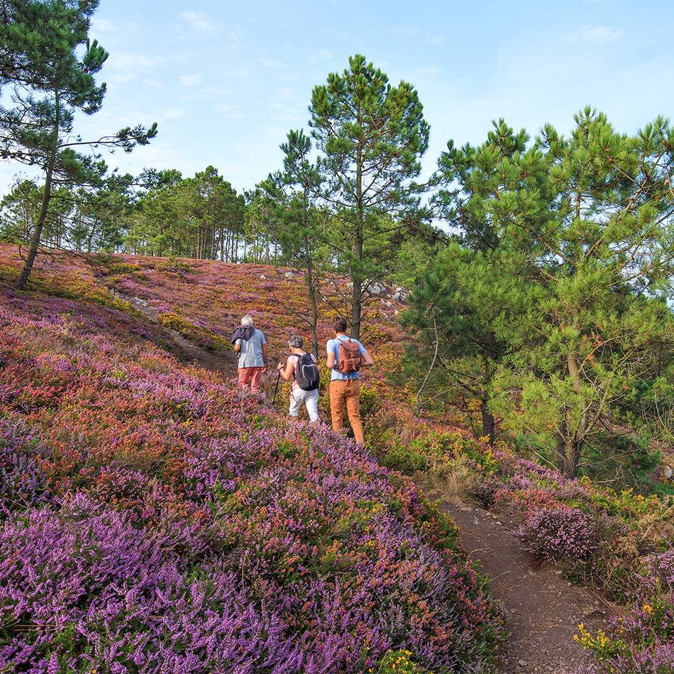 randonnee sur le gr34 en presqu ile de crozon